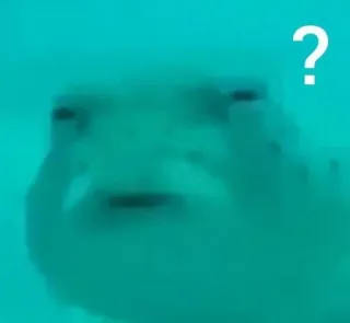 🤩 ? frog, flipping off, question mark, funny, meme, rude whatsapp sticker