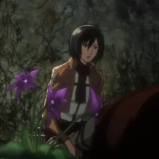 🗡 Mikasa Ackerman Attack on Titan Mikasa, anime, attack on titan, character, girl, sad telegram sticker