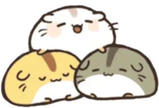 💕 хомяки, животные, милые, каваи, наклейка, питомец telegram sticker