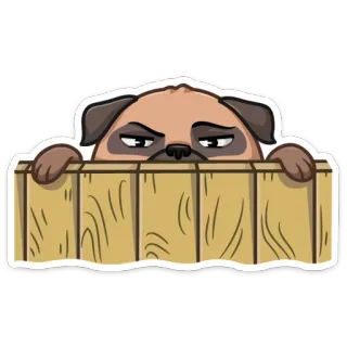 👀 pug, dog, animal, pet, fence, cartoon, sticker telegram sticker