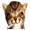 popa @TgEmojiBot telegram emojis ☺️