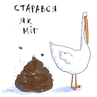 Gus whatsapp stickers