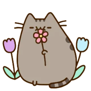 🌸 Pusheen 猫, 花, プシーン, かわいい, 漫画, ステッカー, 動物 telegram sticker