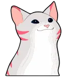 😺 kucing, Popcat, meme, binatang, lucu telegram sticker