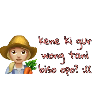 windri whatsapp stickers