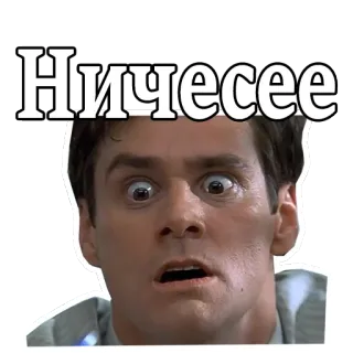 😵 Ничесе reação, choque, surpresa, russo telegram sticker