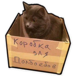 🌝 Коробка для долбоебов chat, boîte, russe, offensant, animal, animal de compagnie telegram sticker