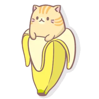 🍊 mèo, chuối, dễ thương, động vật, kawaii, trái cây, sticker telegram sticker