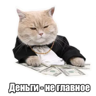 🤑 Деньги - не главное chat, argent, costume, riche, luxe, mème telegram sticker