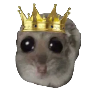 👑 Sad Hamster sad hamster, hamster, crown, king, funny, meme, cute, animal telegram sticker