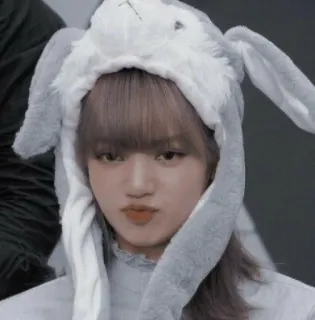 ·˚ ༘🦋 Lalisa : @ppeacha telegram stickers
