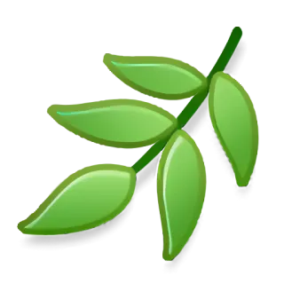 🦇 feuille, vert, nature, plante telegram sticker
