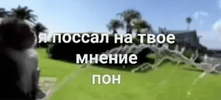❤️ Я поссал на твое мнение. ПОН. telegram sticker