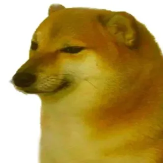 😏 Doge dog, meme, cheems, doge, animal telegram sticker