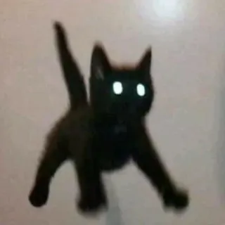 😨 cat, black cat, animal, kitten, pet telegram sticker