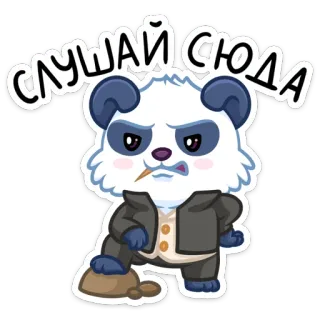 😡 СЛУШАЙ СЮДА Panda, Kreskówka, Rosyjski, Tekst, Zły, Zwierzę telegram sticker