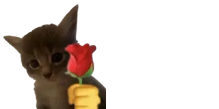 ❤️ gatinho, rosa, emoji, gato, animal, amor, dia dos namorados telegram sticker