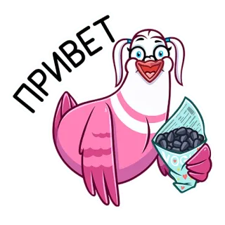 🐦 ПРИВЕТ groet, duif, vogel, cartoon, zaden whatsapp sticker