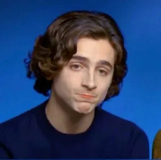 🦇 Timothée Chalamet actor, celebridad, retrato, cara telegram sticker