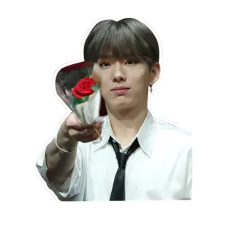 🌺 คน, ดอกไม้, ดอกกุหลาบ, ช่อดอกไม้, เกาหลี, ผู้ชาย telegram sticker