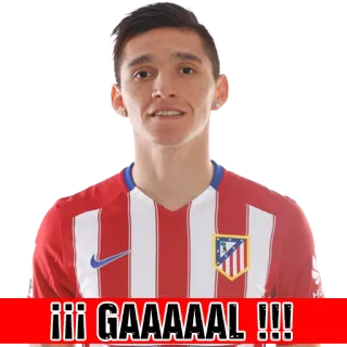🏧 !!! GAAAAAAL !!! telegram sticker