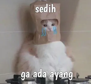 😿 sedih
ga ada ayang кот, грустный, плачет, питомец, животное whatsapp sticker