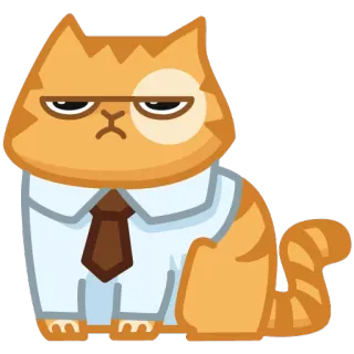 😾 gatto, ufficio, cravatta, serio, animale, affari whatsapp sticker