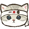 🐱