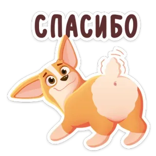 😊 СПАСИБО cachorro, corgi, obrigado, fofo, animal, adesivo telegram sticker
