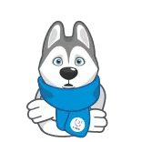 🥶 chó, husky, khăn quàng cổ, hoạt hình, mùa đông, lạnh telegram sticker