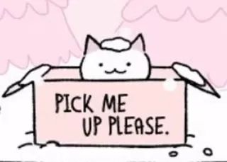 ⏱ PICK ME UP PLEASE. Katze, Kiste, süß, kawaii, Tier, Haustier telegram sticker
