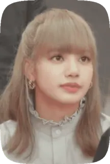 👌 Lisa kpop, lisa, lalisa manoban, blackpink, idol, singer telegram sticker