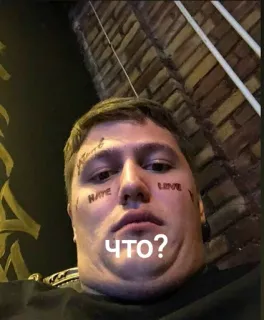 😶 HATE
LOVE
ЧТО? telegram sticker