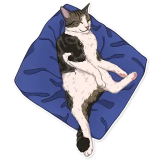 МоиКоты telegram stickers