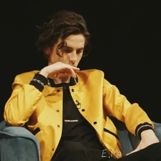 😐 Timothée Chalamet celebridade, ator, retrato, homem, moda, estilo telegram sticker