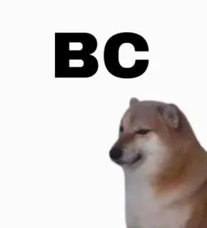 Cheems// @doge69 // @ZoldyckStickers telegram stickers