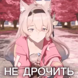 🤫 НЕ ДРОЧИТЬ anime girl, cat ears, russian text, explicit, meme whatsapp sticker