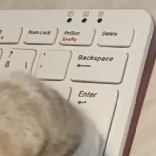 💻 Num Lock keyboard, technology, computer, typing, electronics telegram sticker
