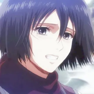 🔖 Mikasa Ackerman Attack on Titan anime, manga, character, attack on titan, mikasa, ackerman telegram sticker