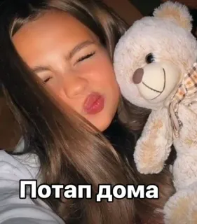 🌟 Потап дома selfie, girl, teddy bear telegram sticker