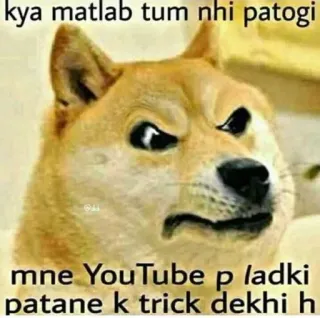 ❤ Doge Internet Meme kya matlab tum nhi patogi mne YouTube p ladki patane k trick dekhi h doge, meme, funny, dating, youtube, humor telegram sticker