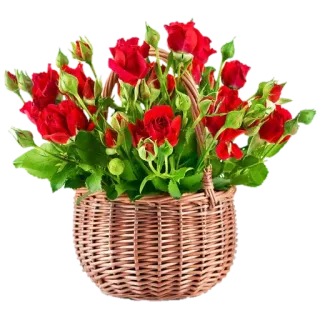 💐 Blumen, Rosen, Korb, rote Rosen, Blumenarrangement telegram sticker