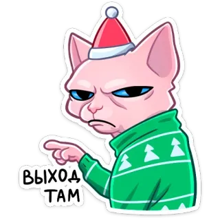 👈 ВЫХОД ТАМ Katze, Sphynx Katze, Weihnachten, grummelig, Pullover, russisch, Neujahr whatsapp sticker