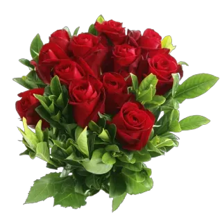 💐 fleurs, roses, bouquet, rouge, floral whatsapp sticker