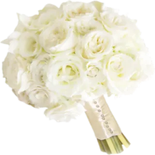 🌺 bouquet, flowers, roses, wedding, white, floral arrangement telegram sticker