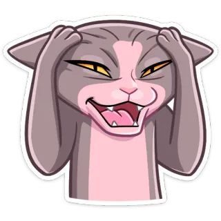 🙈 Katze, Sticker, Tier, Cartoon, Emotion, Ausdruck, Wütend, Genervt whatsapp sticker