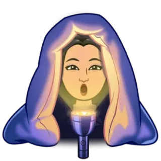 👩‍💻 chăn, đèn pin, đêm, người, trong nhà telegram sticker