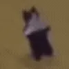 💃
