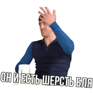 😂 ОН И ЕСТЬ ШЕРСТЬ БЛЯ 人, 贴纸, 坐, 手势 telegram sticker