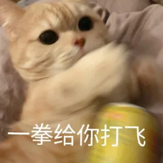 👊 一拳给你打飞 gato, meme, golpe, animal, divertido telegram sticker
